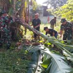 Kolaborasi Tiga Pilar, Koramil Bantargebang Bersama Forkopimcam, Warga Gelar Kerja Bakti Bersihkan Lahan KDKMP Padurenan