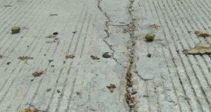 DD Lamongan Disorot: Baru Dibangun, Rabat Beton Desa Sumurgenuk Sudah Retak