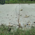 Proyek Rabat Beton Desa Sumurgenuk Rusak Parah: Kades dan Kadis DPMD Lamongan Pilih Bungkam