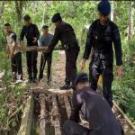 Dansat Brimob Polda Sumsel Terjunkan Personel Yon B Pelopor untuk Perbaikan Jembatan di Kota Lubuklinggau