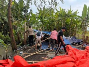 Respons Cepat Call Center 110: Polsek Krembung Bongkar Judi Sabung Ayam