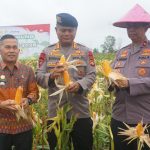 Dukung Swasembada Pangan, Kapolda Sumsel Pimpin Panen Raya di Ogan Ilir
