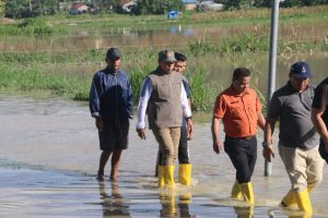 Respons Cepat Puting Beliung: Bupati Taput Turun Gunung Temui Korban