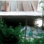 Bau Menyengat Asal Penggilingan Bulu Ayam di Desa Minohorejo Tuban Resahkan Warga