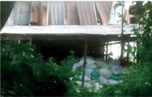 Bau Menyengat Asal Penggilingan Bulu Ayam di Desa Minohorejo Tuban Resahkan Warga