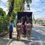 Sebanyak 8 PMKS Diamankan Satpol PP Bojonegoro dan Dibawa ke Shelter Dinas Sosial