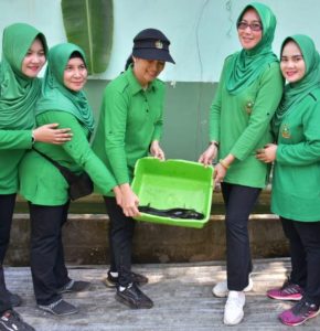 Persit Kartika Chandra Kirana Cabang XV Kodim 0501/PD Jaya Panen di Lahan Food Estate