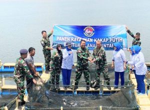 Dukung Program Ketahanan Pangan, Danlanal Bintan Laksanakan Panen Raya Budidaya Ikan Kakap Putih