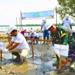 Kadispotmar Lantamal I Hadiri Kegiatan Penanaman Mangrove di Kantor PLN NP UPDK Belawan