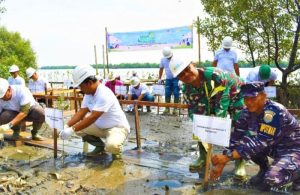 Kadispotmar Lantamal I Hadiri Kegiatan Penanaman Mangrove di Kantor PLN NP UPDK Belawan