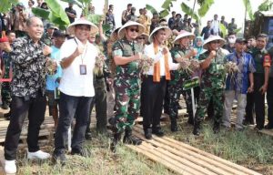 Mentan RI dan Kasad Panen Raya Bawang Merah di Wilayah Kodam Jaya