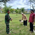 Sambut Hari Raya Idul Adha 1445 H/2024 M, Danlanal Nias Serahkan 2 Ekor Hewan Kurban