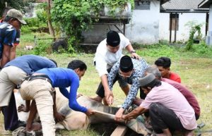 Teladani Sikap dan Perilaku Nabi Ibrahim A.S, Lanal Sabang Selenggarakan Qurban