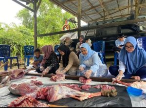 Hari Raya Idul Adha 1445 H, Pangkalan TNI AL Simeulue Laksanakan Penyembelihan dan Penyerahan Hewan Qurban Kepada Warga