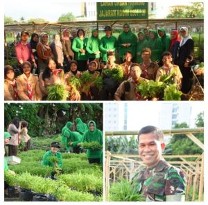 Panen Ke-2 Urban Farming, Kodim Jakarta Pusat Berkebun Diatas Aspal