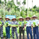 Dukung Program Ketahanan Pangan Nasional, Lanal Sabang Panen Raya Sayur-Sayuran