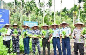 Dukung Program Ketahanan Pangan Nasional, Lanal Sabang Panen Raya Sayur-Sayuran