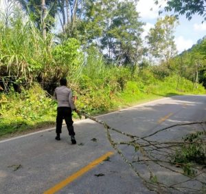 Respon Cepat Personil Polsek Lumban Julu Pembersihan Pohon Tumbang Di Jalinsum