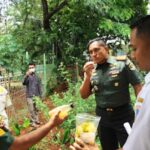 Dandim 0502 Jakarta Utara dan Lurah Sunter Jaya Tinjau Ketahanan Pangan di Kampung Berseri Astra Hijau
