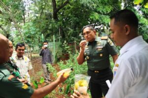 Dandim 0502 Jakarta Utara dan Lurah Sunter Jaya Tinjau Ketahanan Pangan di Kampung Berseri Astra Hijau