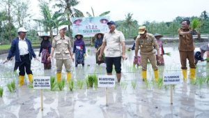 Tingkatkan Produksi Nasional, Wamentan Sudaryono Ajak Petani Lombok Maksimalkan Masa Tanam Awal 2025