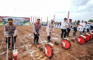 Gerakan 1 Juta Hektare Jagung: Sinergi Polri dan Kementrian Pertanian Wujudkan Swasembada Pangan 2025