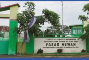 Pemkab Bojonegoro Perpanjang Penutupan Pasar Hewan, Cegah Penyebaran PMK