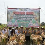 Panen Raya Jagung Hibrida, Kapolda Banten: Bentuk Nyata Upaya Bersama untuk Ketahanan Pangan