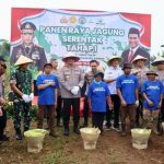 Polda Metro Jaya Gelar Panen Raya Jagung Dukung Ketahanan Pangan