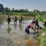 Koramil 05/Bantargebang Bersinergi dengan Poktan Parahiyangan Dukung Ketahanan Pangan Lewat Program Unggulan KASAD