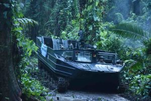 Operasi Merah Putih TNI: Sukses Translokasi Badak Jawa Mustofa di TNUK