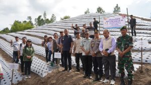 Bumdesma Anugrah LKD Bonatua Lunasi Kembangkan Usaha Bawang Merah