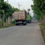 Bojonegoro Soroti Kades Suwaloh: Truk Raksasa Pengangkut Pasir Diduga Rusak Jalan Desa dan Jembatan