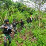 Kontak Senjata TNI Vs KSTP Yahukimo, 5 Anggota KSTP Tewas