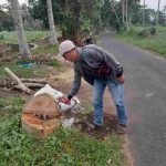 Terkait Hilangnya Pohon Milik PU CKPP Banyuwangi, LSM Blak Minta Dinas PU dan CKPP Pemkab Banyuwangi Tegas