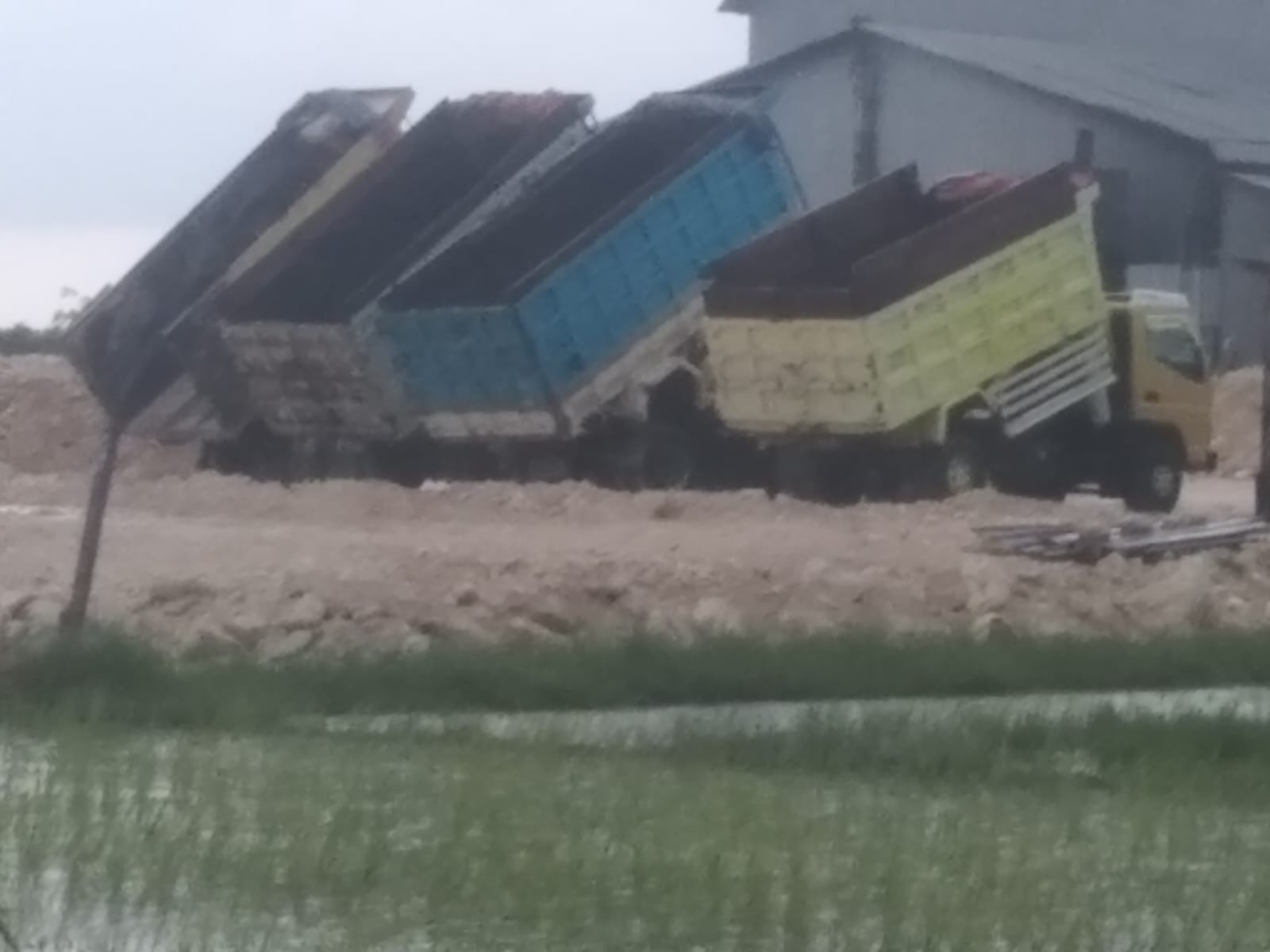 Aktivitas Pengurukan Pembangunan Pabrik Kayu PT NTP di Desa Waruwetan, Kecamatan Pucuk, Kabupaten Lamongan