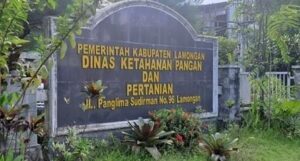 DKPP Lamongan Buru Kios Pupuk Nakal Terkait Temuan Distribusi Ilegal di Ngawi