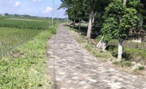 Dugaan Manipulasi Proyek Desa Mori: Anggaran Rp250 Juta, Paving Diduga Bekas