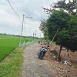 Kades Mori Bojonegoro Diduga Sampaikan Dua Versi Anggaran Proyek