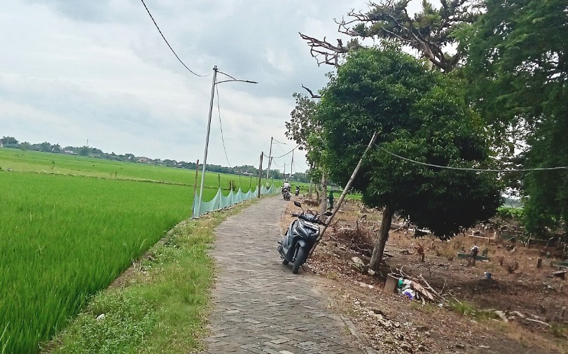 Rp33 Juta atau Rp250 Juta? Dua Versi Anggaran Jalan Makam di Desa Mori Jadi Polemik