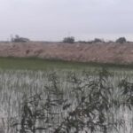 Warga Waruwetan Blokade Pengurukan Saluran Irigasi Oleh PT NTP