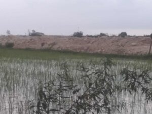 Warga Waruwetan Blokade Pengurukan Saluran Irigasi Oleh PT NTP