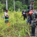 Sinergi Tanpa Batas di Yahukimo: TNI-Polri dan Jamaah Masjid At-Taqwa Gelar Karya Bakti Massal