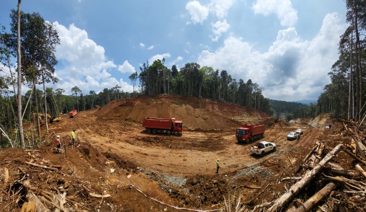 Kasus Illegal Logging Halmahera Timur: Yayasan Pagar Alam Desak Presiden Cabut Izin Tambang