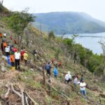 Wakil Bupati Samosir Pimpin Penanaman Pohon Gunung Pusuk Buhit