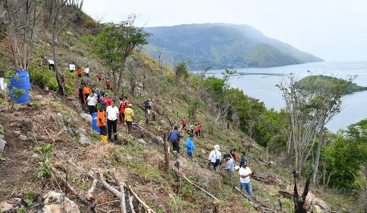 Wakil Bupati Samosir Pimpin Penanaman Pohon Gunung Pusuk Buhit