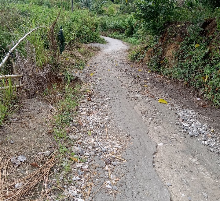 Masyarakat Minta Bupati Toba Tinjau Jalan Rusak di Desa Sintong Marnipi Kecamatan Laguboti