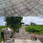 Proyek BKKD Desa Klino Retakan Beton Sorotan Publik
