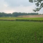 CV Lisa Protes Pemberitaan Tak Berimbang, Nilai Media Abaikan Kode Etik Jurnalistik