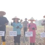 Kapolres Toba bersama Forkompinda Laksanakan Penanaman Jagung Serentak Kuartal I Tahun 2026